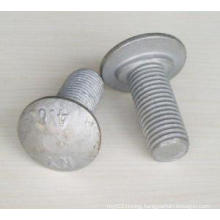 High Standard Zinc Plated Carriage Screw Grade 5